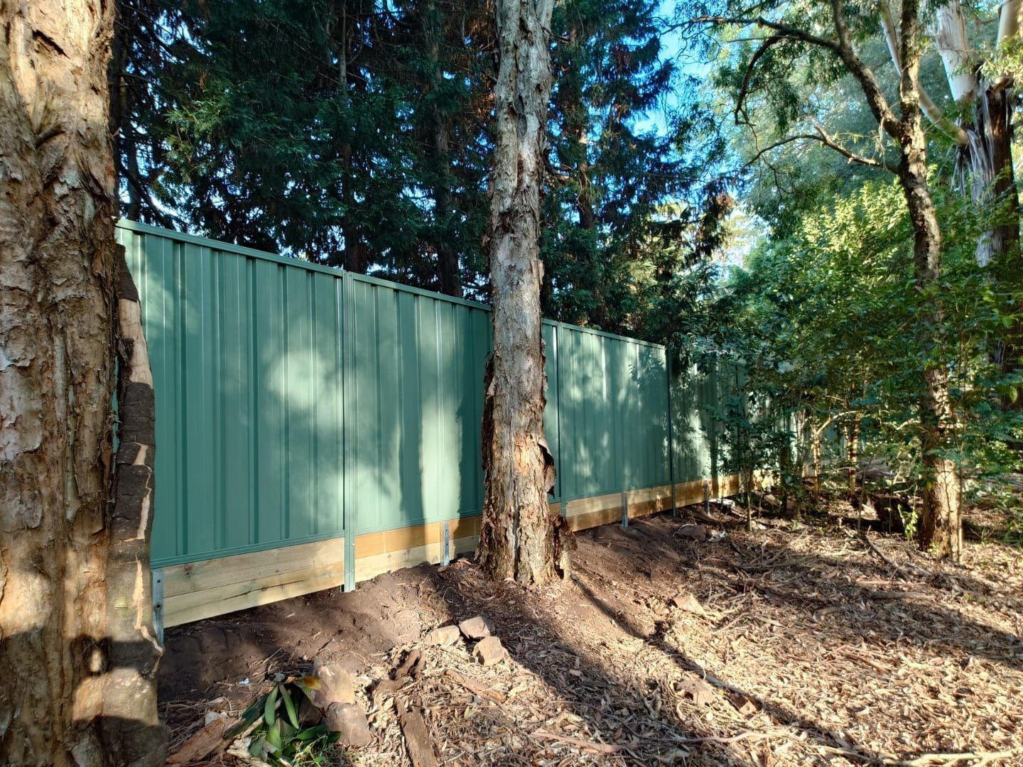 Green Colorbond fence running between gum trees on a bush block, timber base rail along the bottom