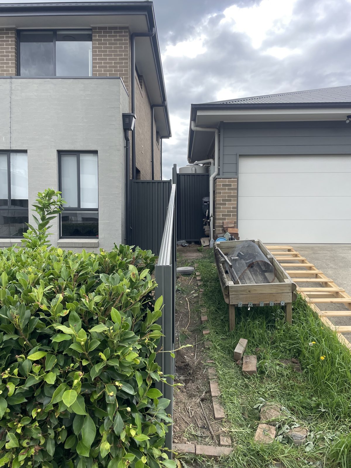 Charcoal Colorbond fence between two new homes, garden bed and hedge in front